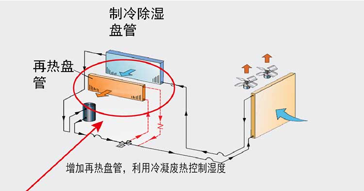 1758267662736618.jpg 904.jpg